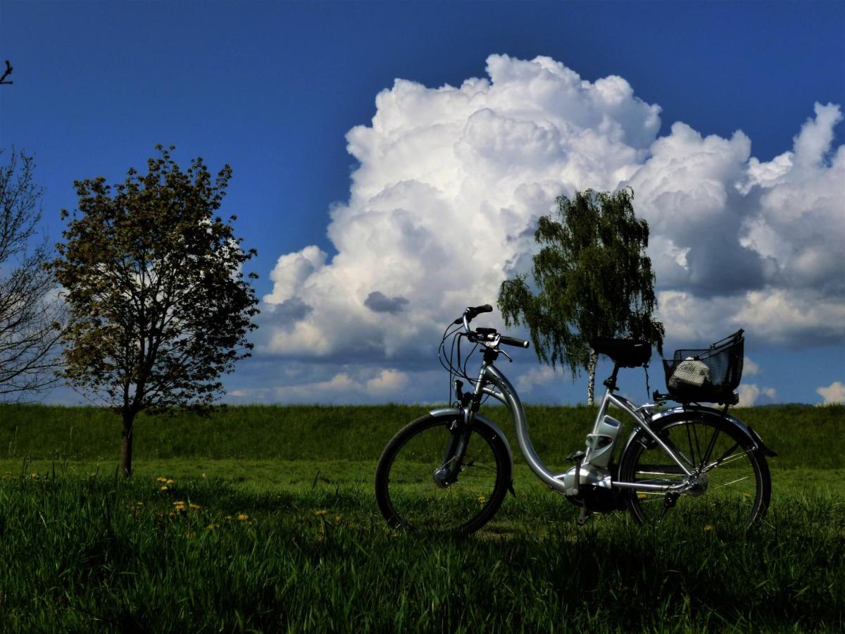 Radfahren an der Unterkunft Bachhof Resort Apartments oder in der Nähe