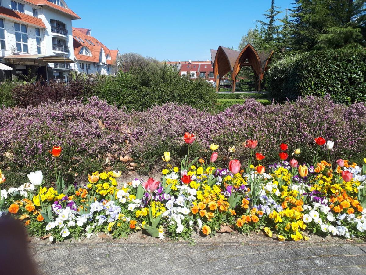 Herkules apartman - Housity