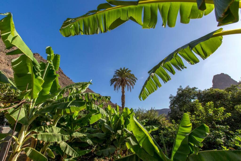Vivienda Vacacional La Finca - Housity