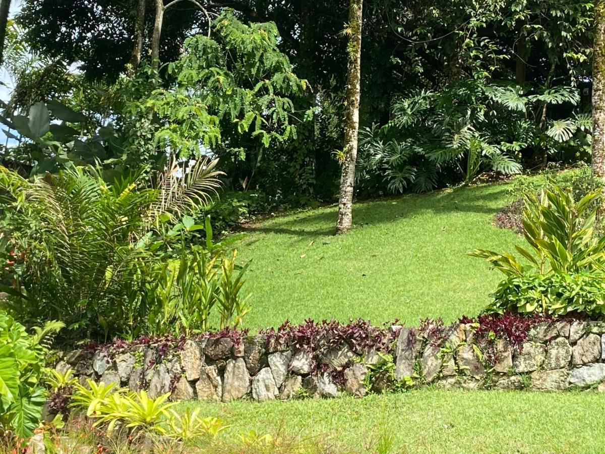 Tropical Contemporary Suites - Housity