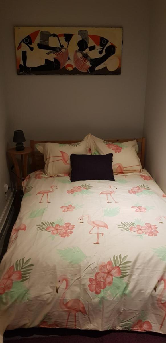 Bel appart moderne Roanne - Housity