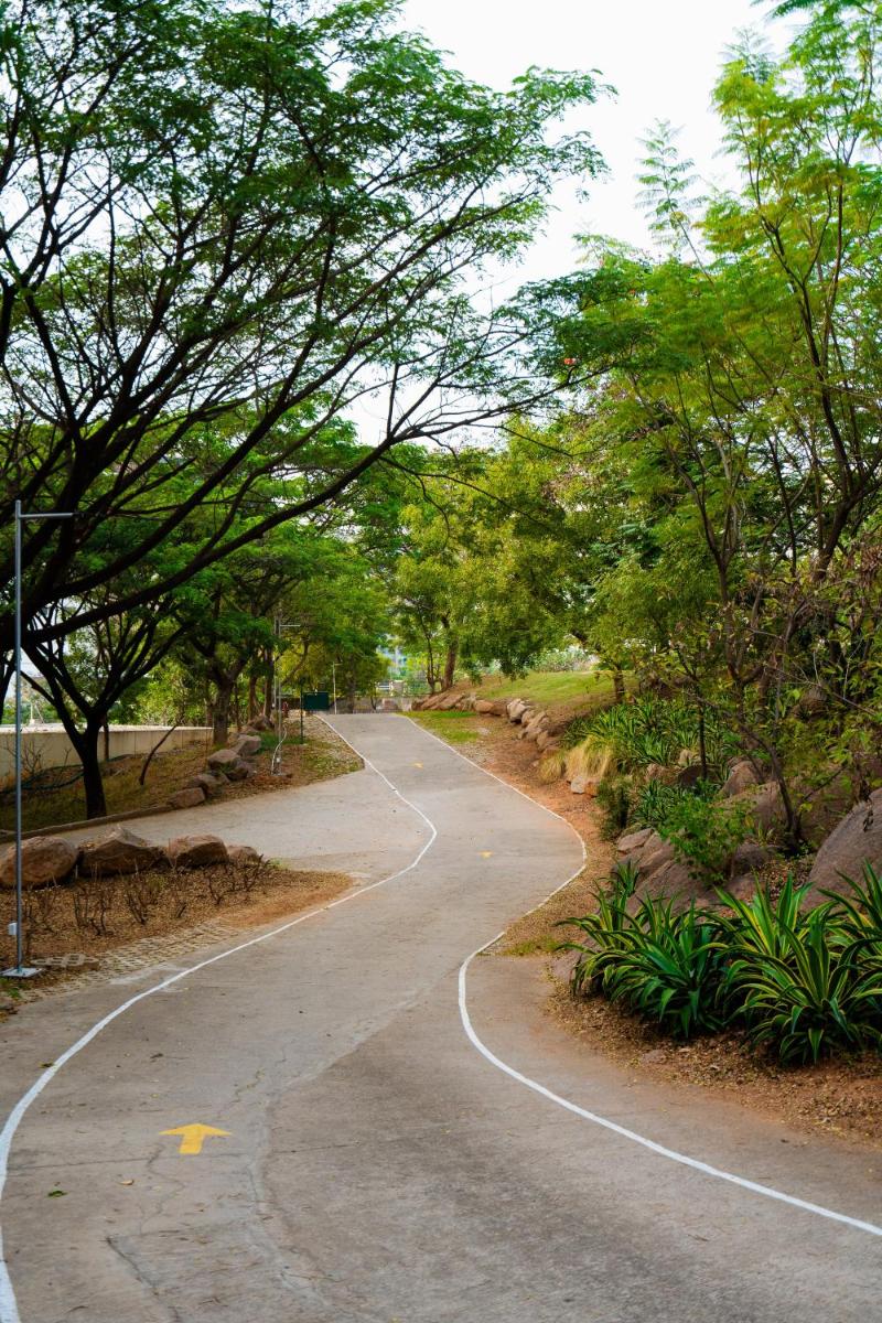 a winding road in a park with trees at Hyatt Hyderabad Gachibowli in Hyderabad