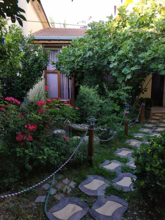 Suitetrails - Sim-Sim Hostel & Backpackers Yousef Steel