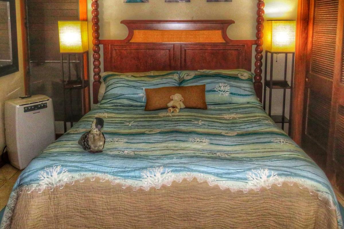 ALOHA - Poipu Beach Vacation Condo - Housity