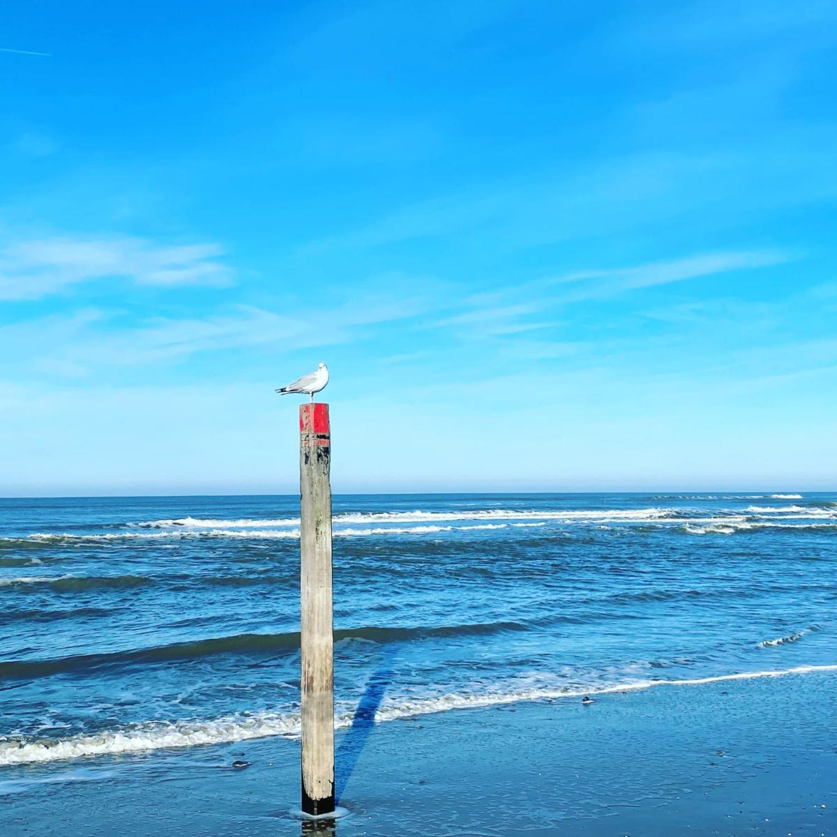 Hotel Zeerust Texel - Housity