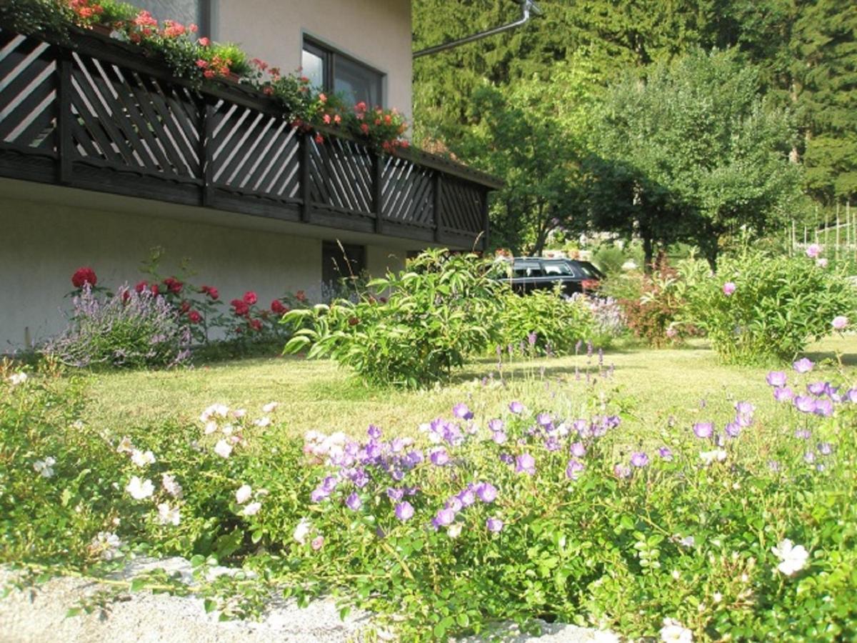 Apartments Mertelj - Housity