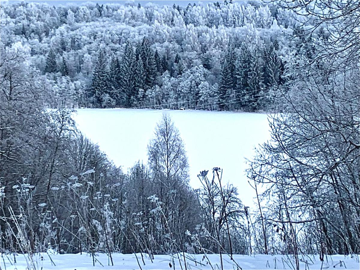 Baza otdyha Valdajskaja - Housity