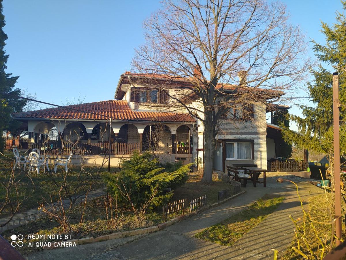 Dečiji vinogradi Belgrade, Sopot, Kosmaj - Housity