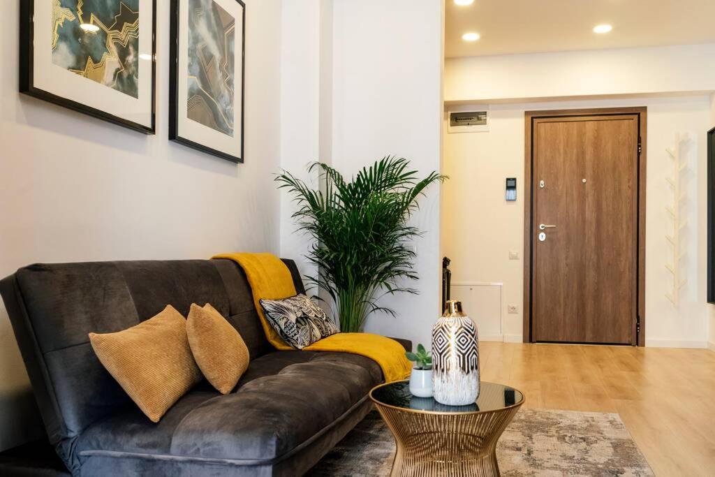 Glamour Dristor brand new Studio - Housity