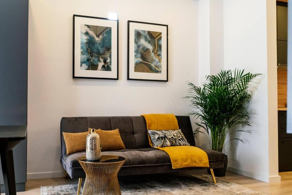 Glamour Dristor brand new Studio - Housity