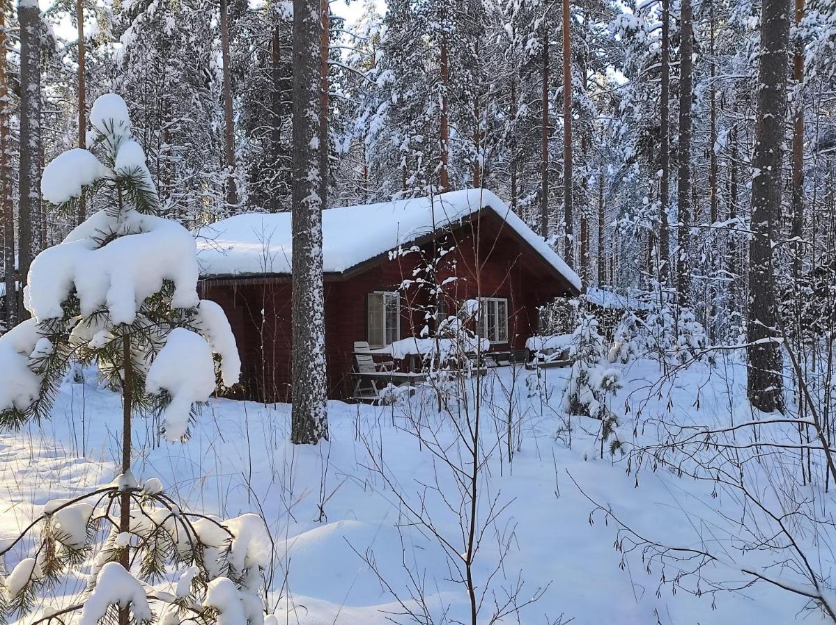 Holiday Cabin Kerimaa 102 - Housity