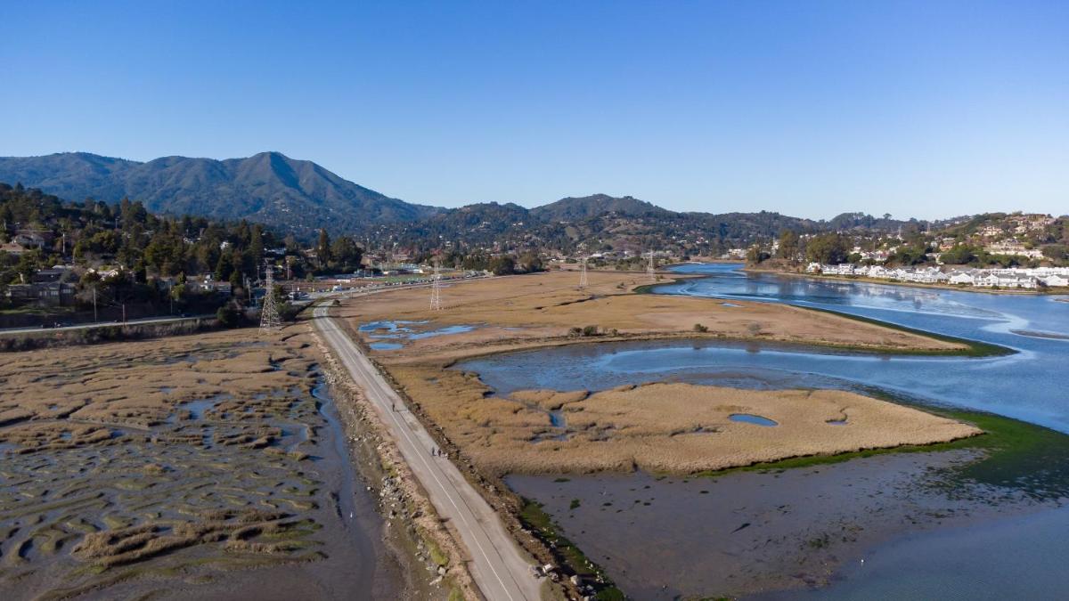 Holiday Inn Express Mill Valley San Francisco Area, an IHG Hotel - Housity