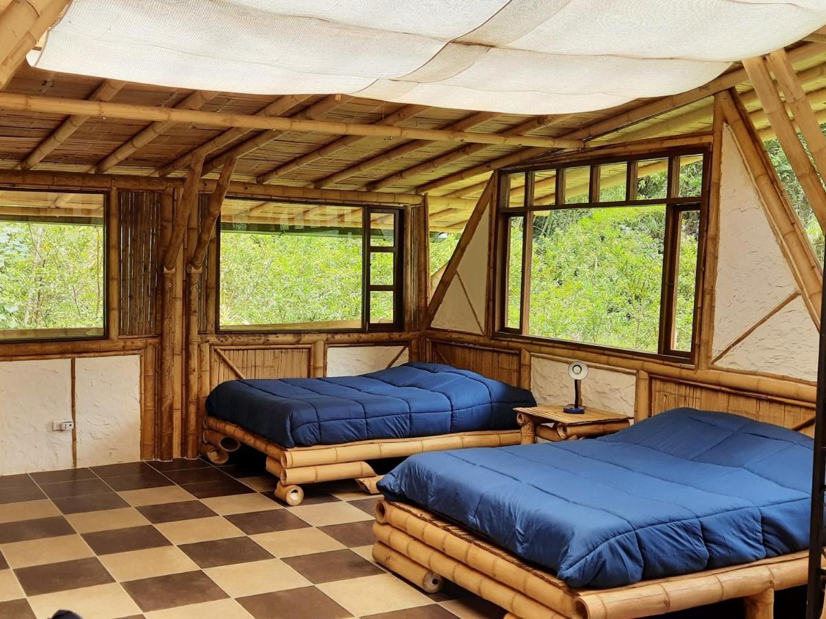 Colibamboo Ecolodge Biocasa artesanal rodeada de naturaleza con jaccuzi y mucho más - Housity