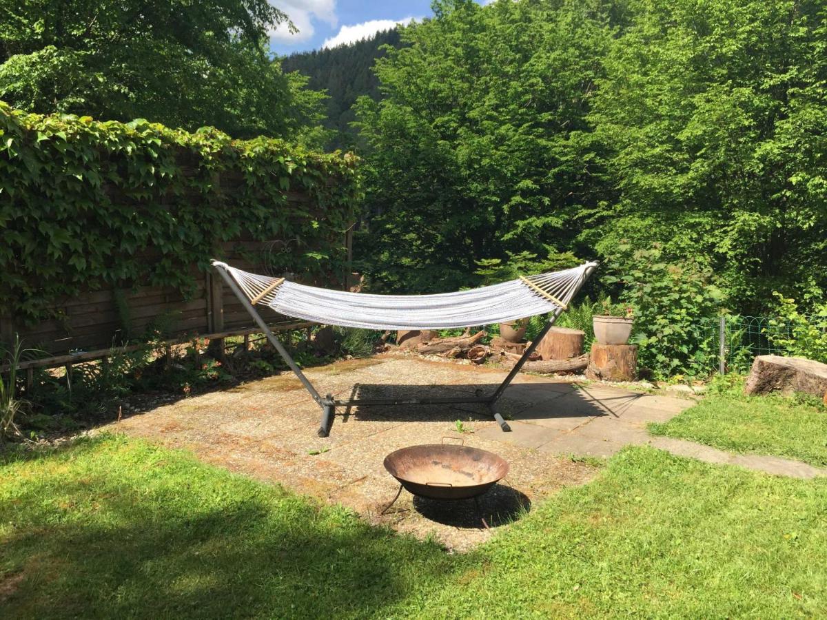 Ferienhaus Bussard - Housity