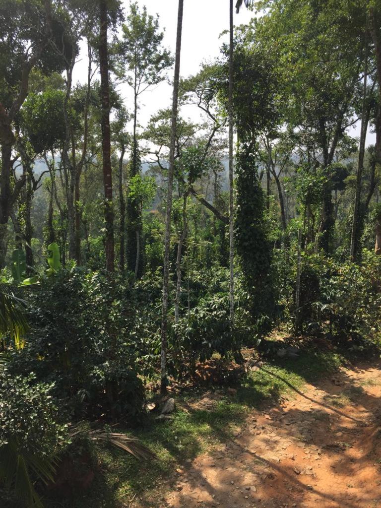 Coorg -Kunji Phad River View Homestay - Hizvo