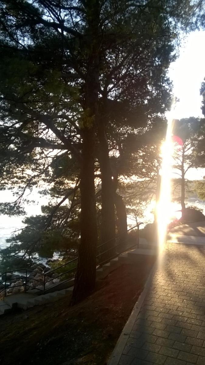 Scents of nature-Dubrovnik area - Housity