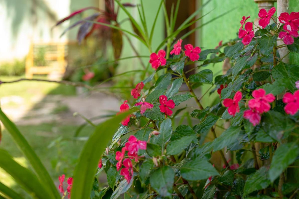 Casa de Família (Campo) - Housity