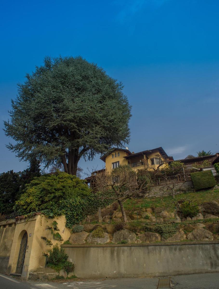B&B Villa Camilla - Housity