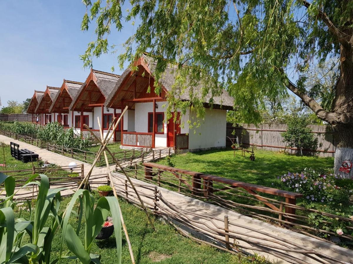 Pensiunea Clisciova - Housity