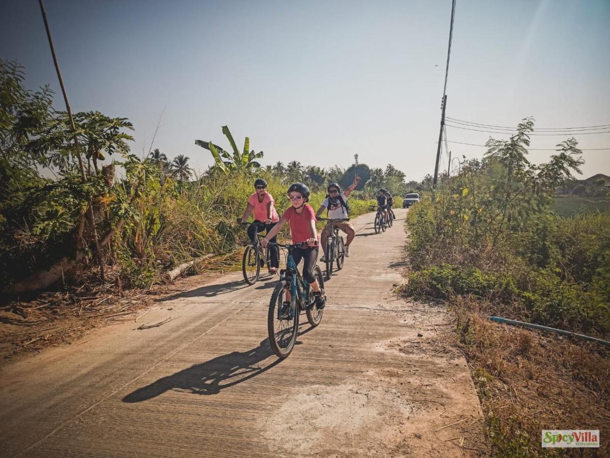 Spicy Villa Eco Lodges - Housity