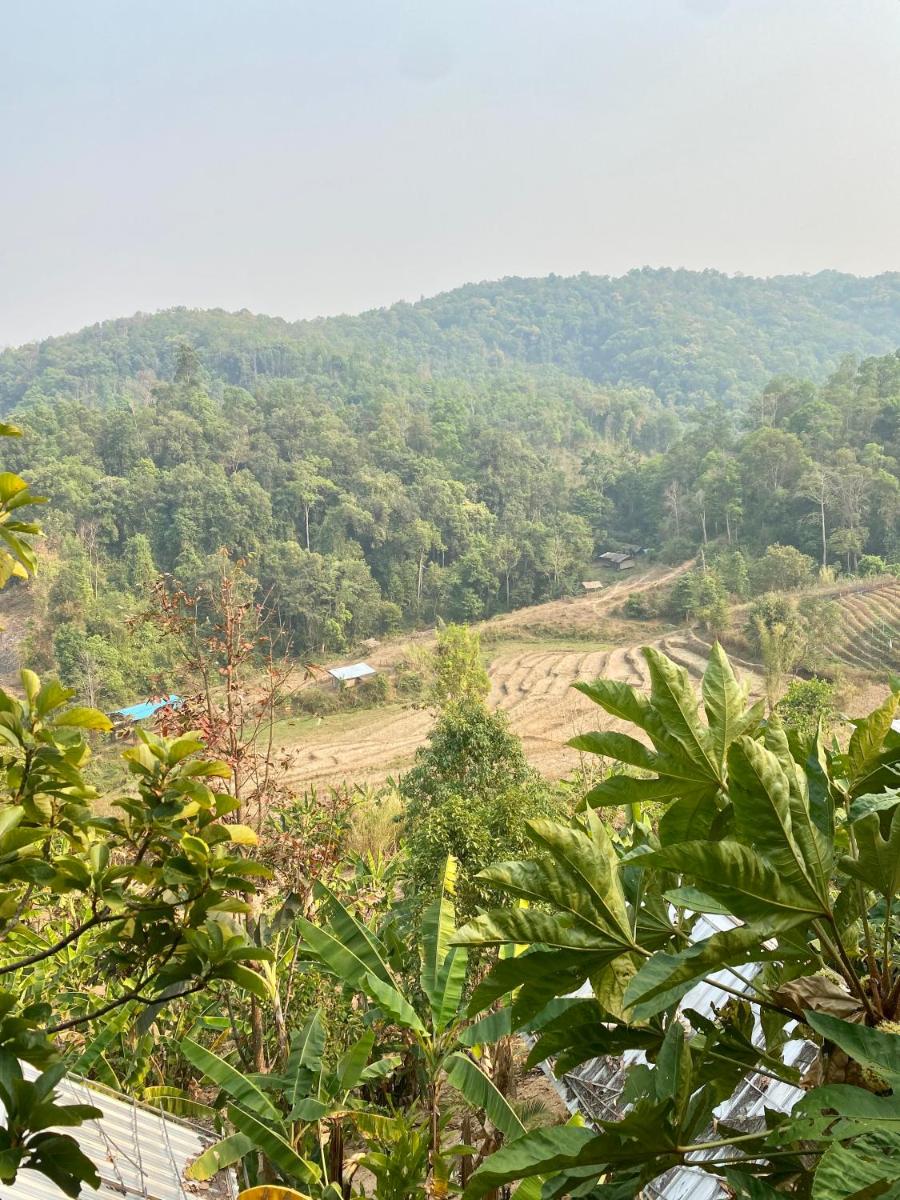 Spicy Villa Eco Lodges - Housity