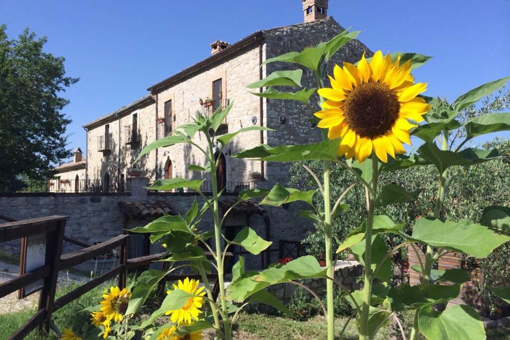 Casa Majella di Casale Corneto - Housity