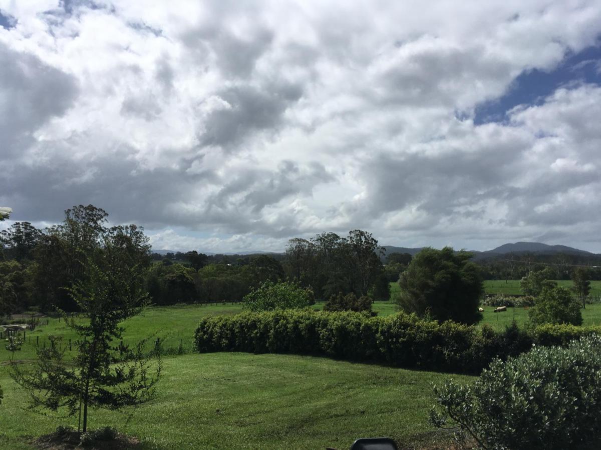 Tranquil, spacious and private garden retreat - Housity