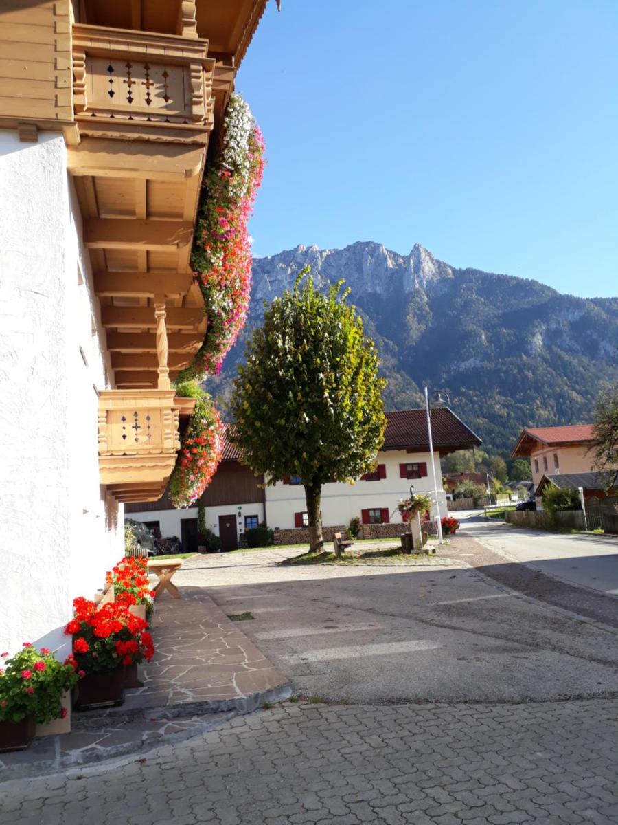 Ferienwohnungen Tischlerhof - Housity
