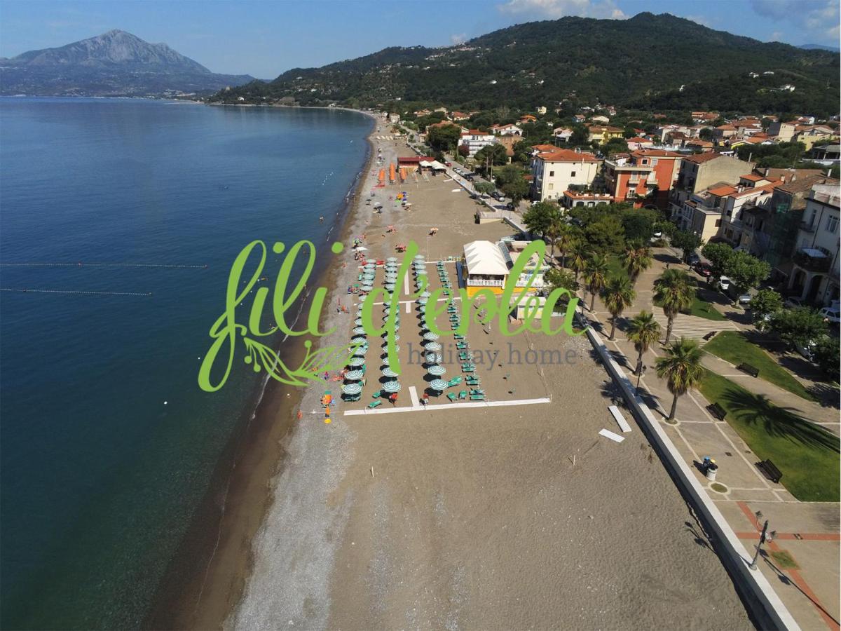 Fili d'Erba Cilento - Housity