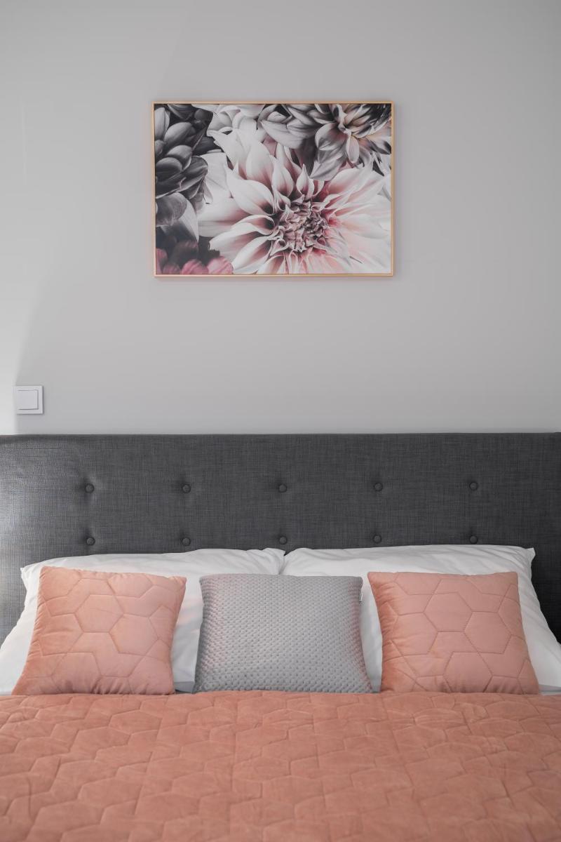 Flow Apartments Toruń - Housity