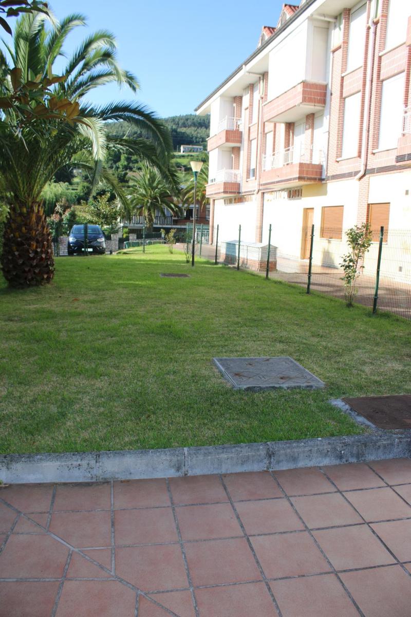 Las palmeras - Housity