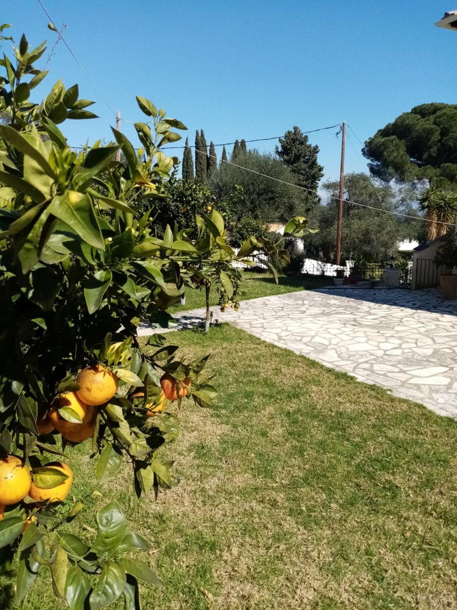Lemoni Corfu House - Housity