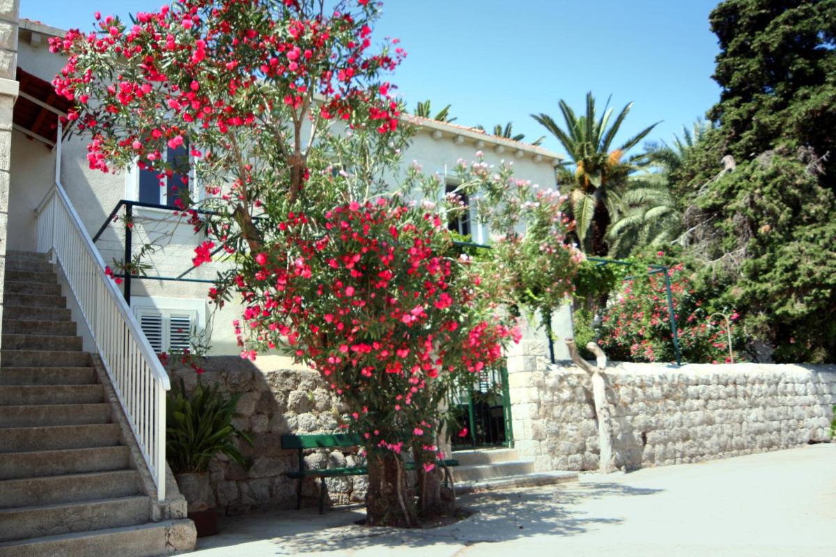 Guest House Katica - Housity