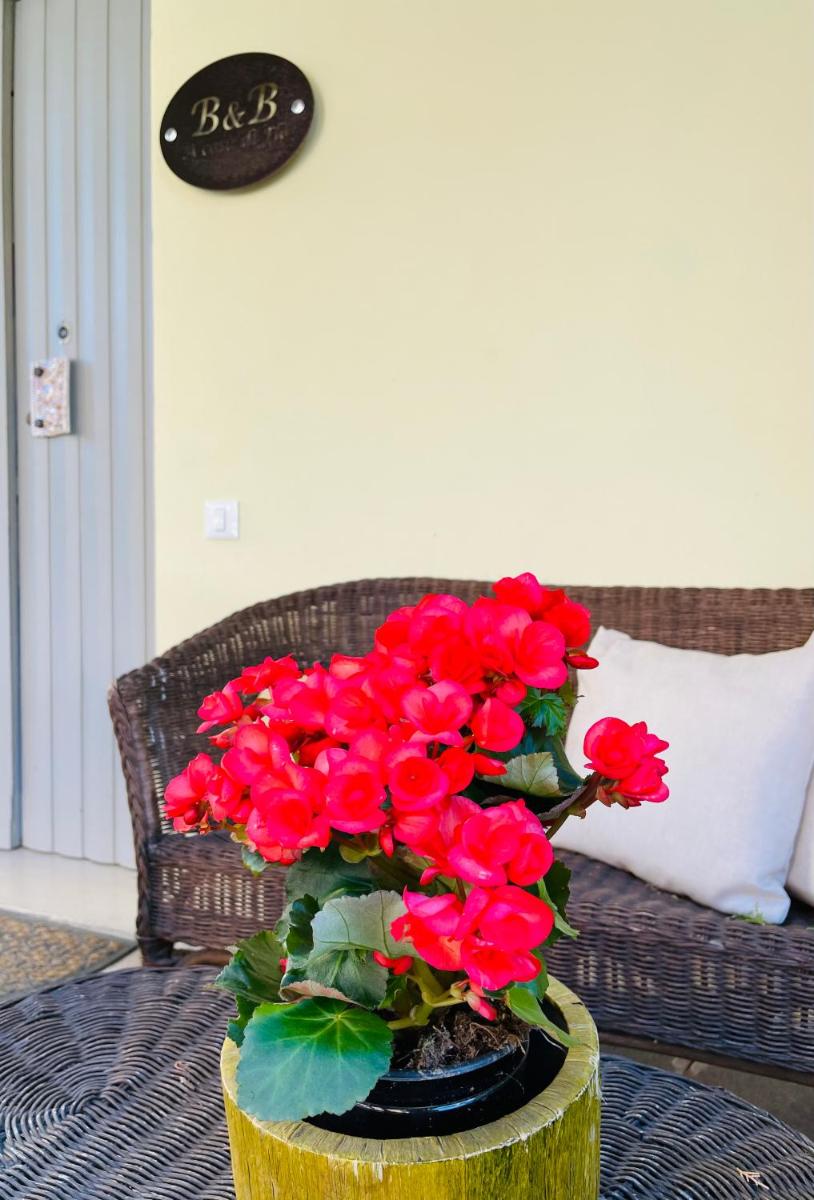 B&B A casa di Flo' - Housity