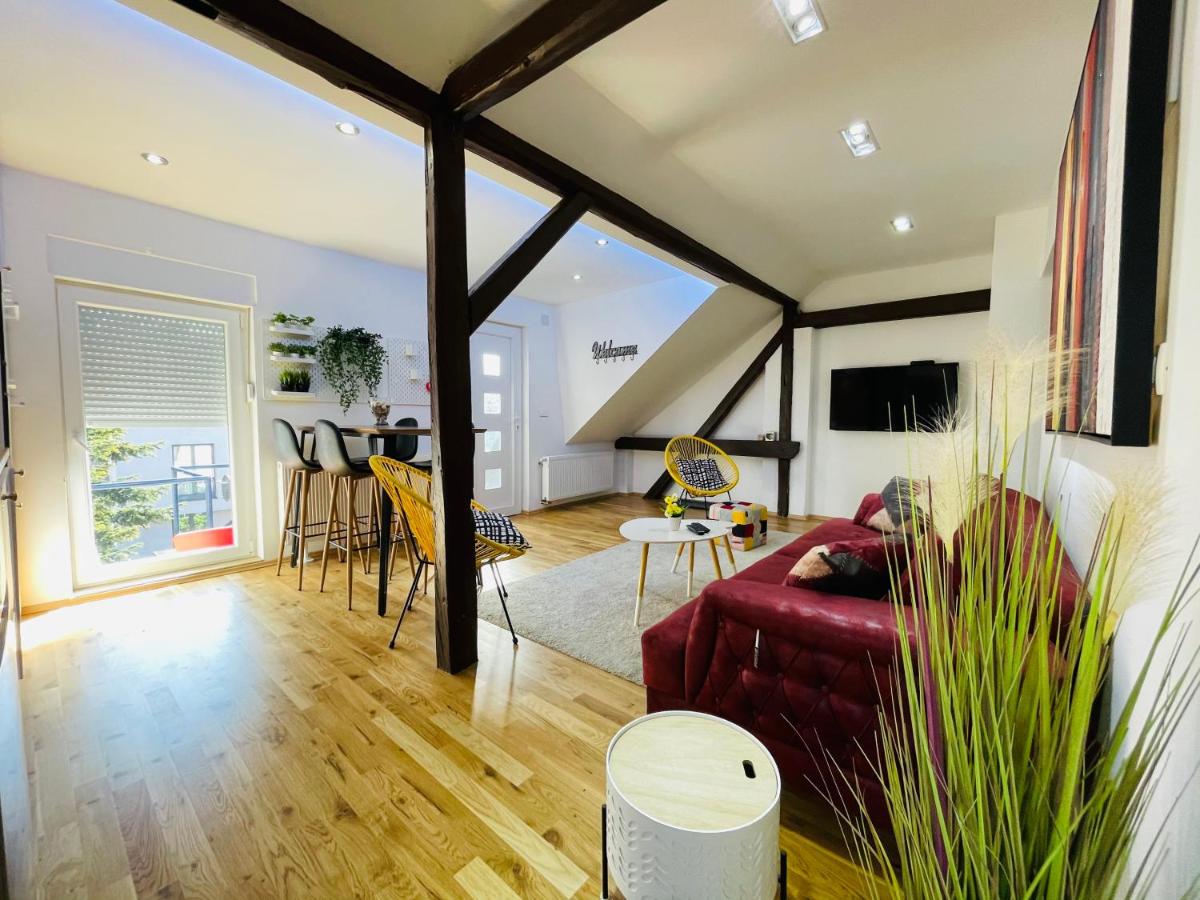 Violet Apartment by Alex Rafael - Housity