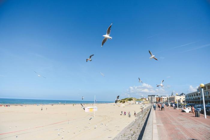 Appartement lumineux, 400m de la plage. - Housity