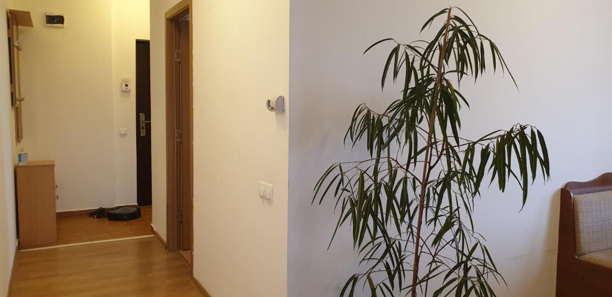Observator Terrace Apartment - Housity