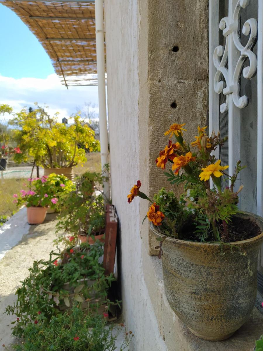 Ancient Gortyna Home -Mitropolis, Heraklion - Housity