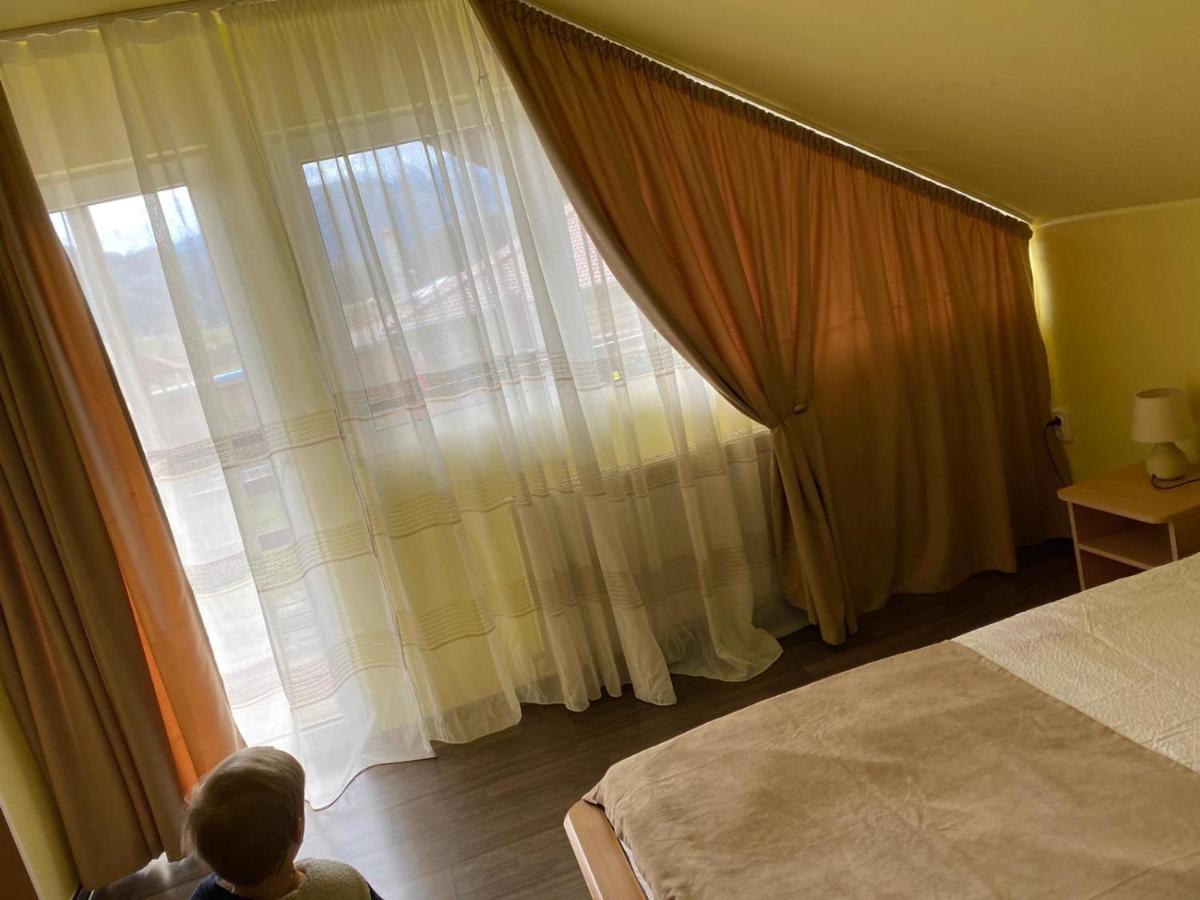 Casa Albert Valea Avrigului - Housity