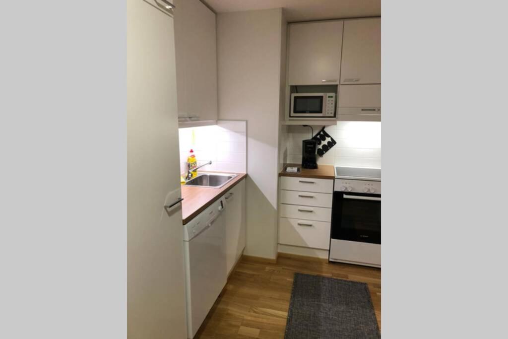 Keskustan kaksio 45 m2 autopaikalla, Rautatienkatu 19, 9 krs - Housity