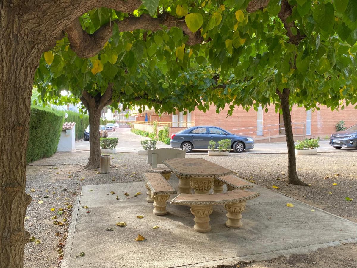 Optimist Cambrils - Housity
