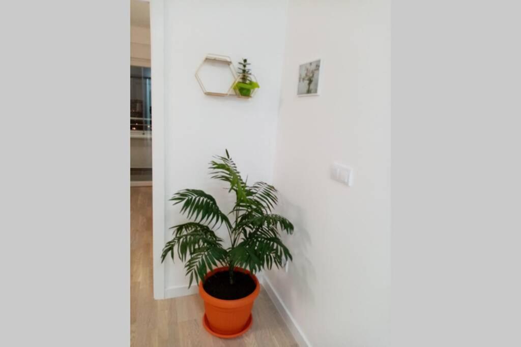 Stan, Apartman Eleven-Elf Tuzla centar, NOVO - Housity