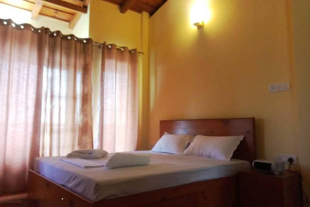 Viewtiful Homestay - The Pine Cone - Housity