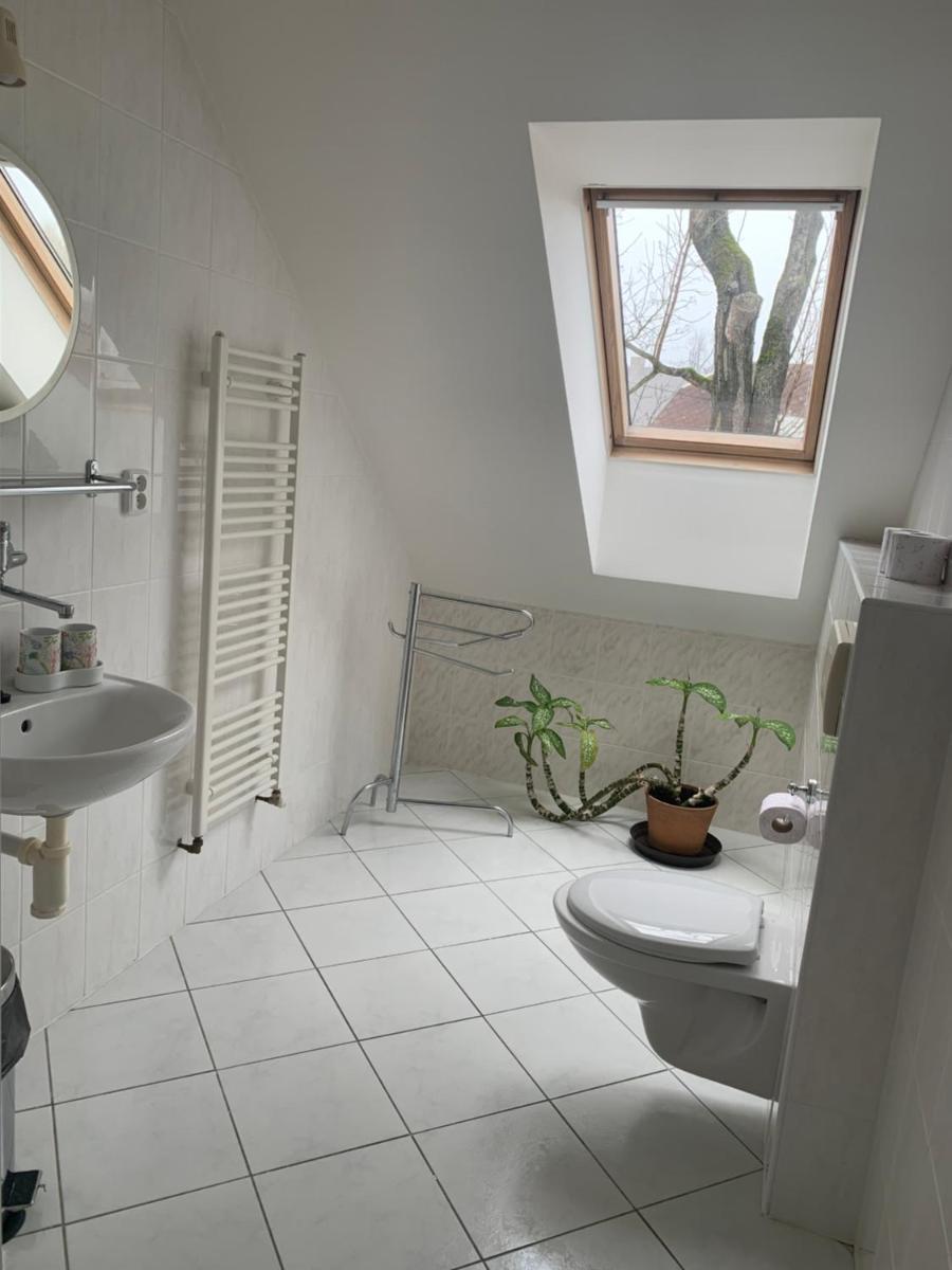 Penzion Galerie - Housity