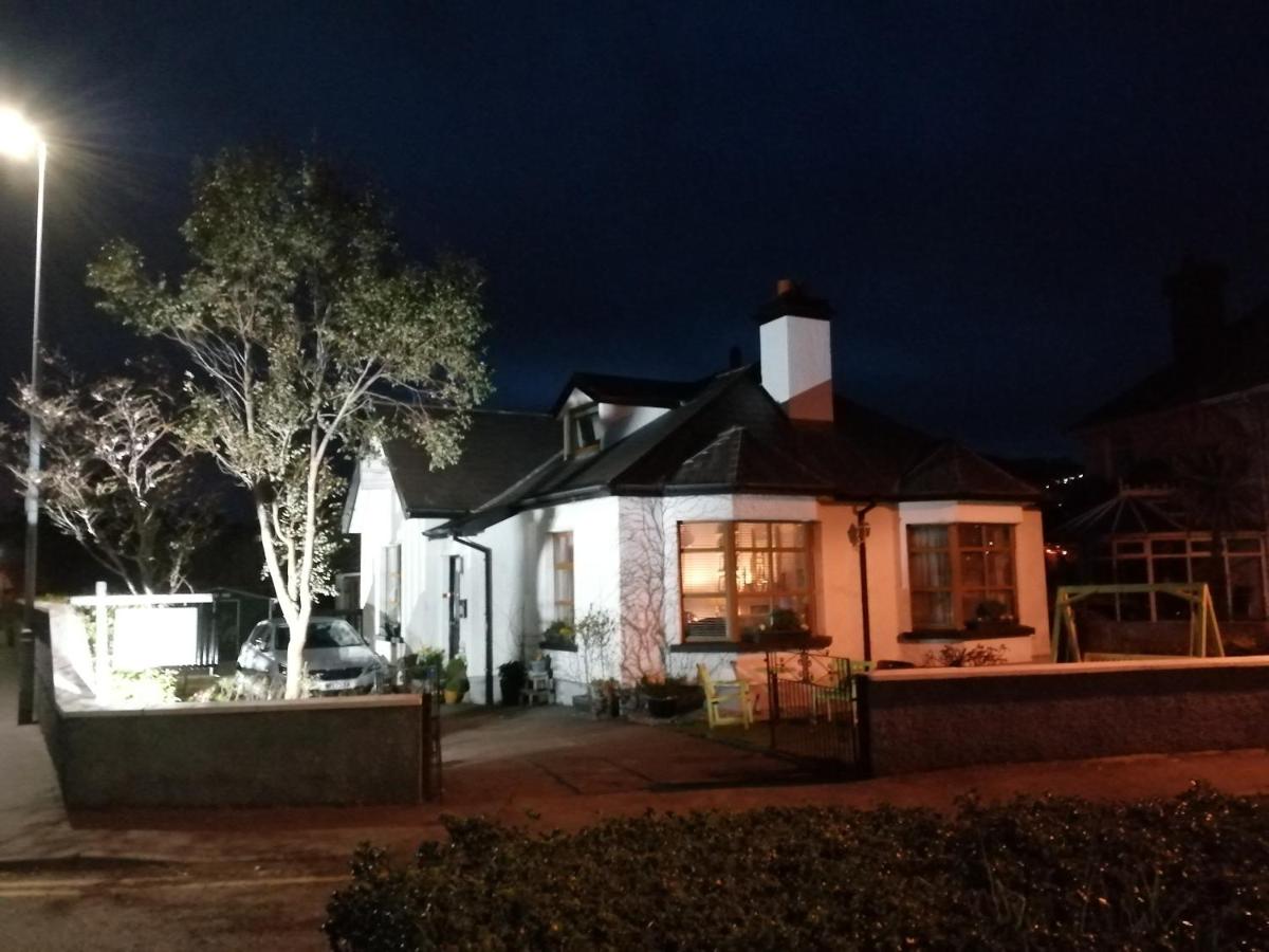 The Oystercatcher - Housity