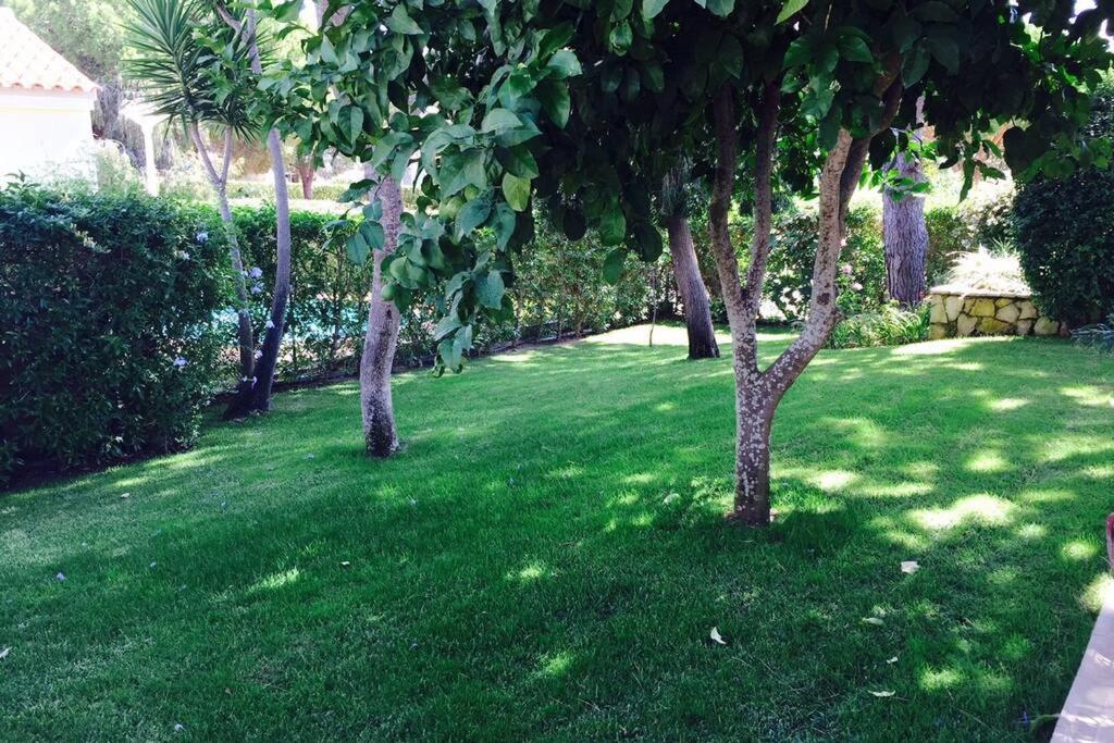 4 Bedroom detached private villa with swimming pool and mature garden - Housity