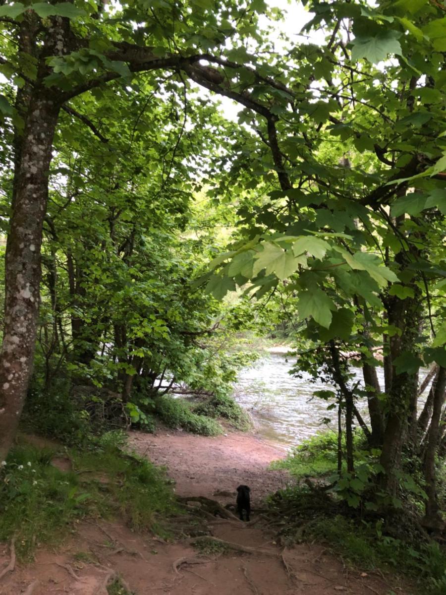 Symonds Yat - Herefordshire property with stunning views - Housity