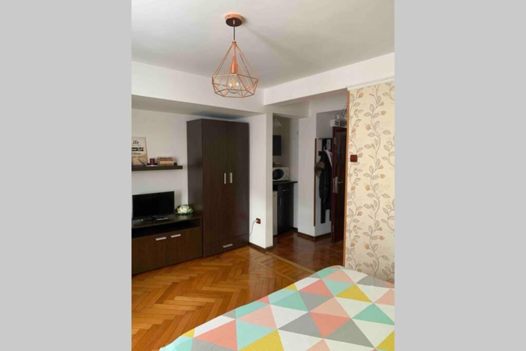 Cozy Studio in the heart of Bucharest - Housity
