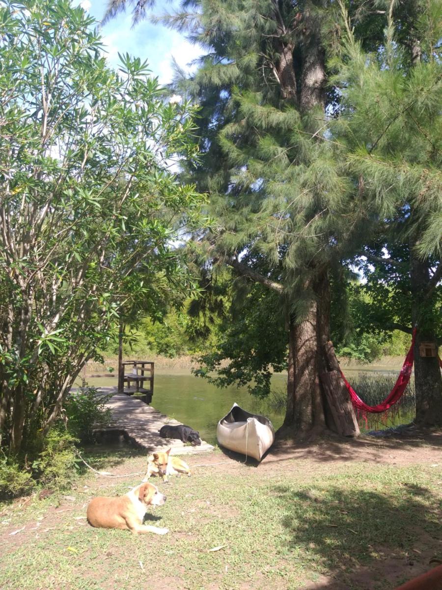 Cabañas Amo Río - Delta - Housity