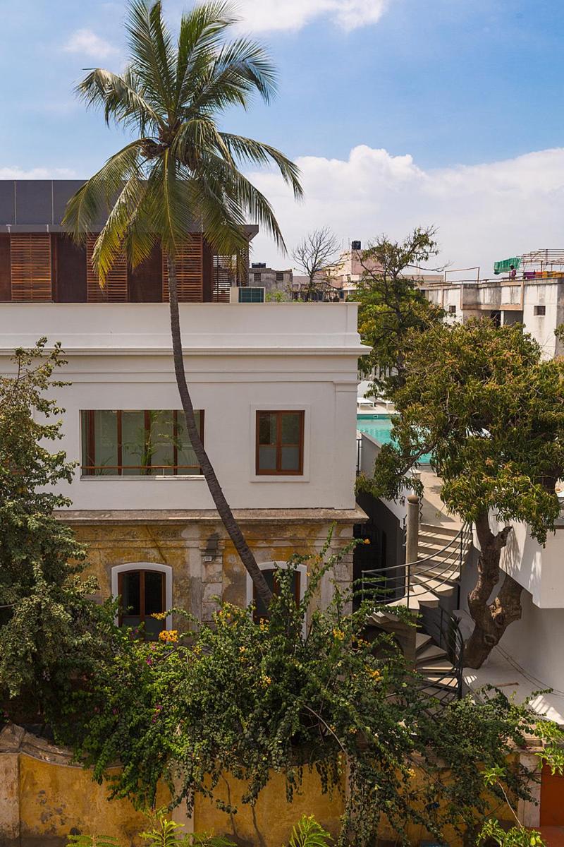 a palm tree in front of a white building at La Villa in Puducherry